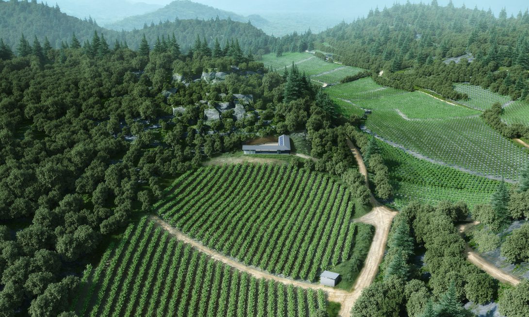 Aerial view of an off-grid steel house above a vineyard in Corinthia, Greece