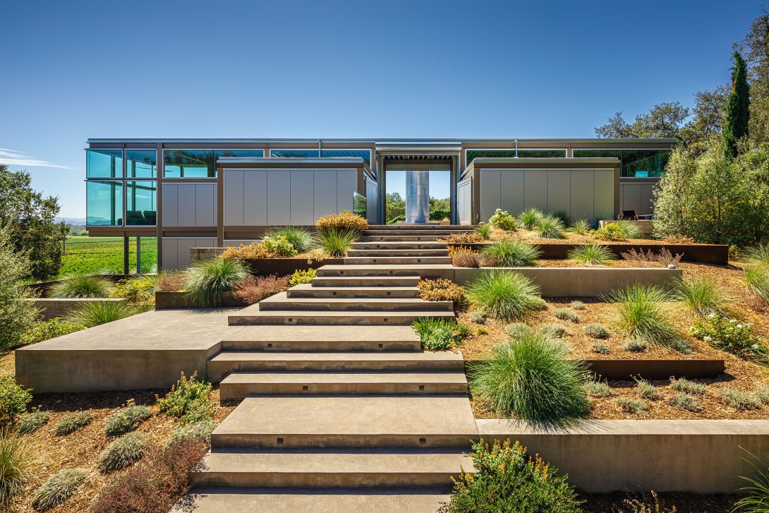 Concrete stair approach, Healdsburg House