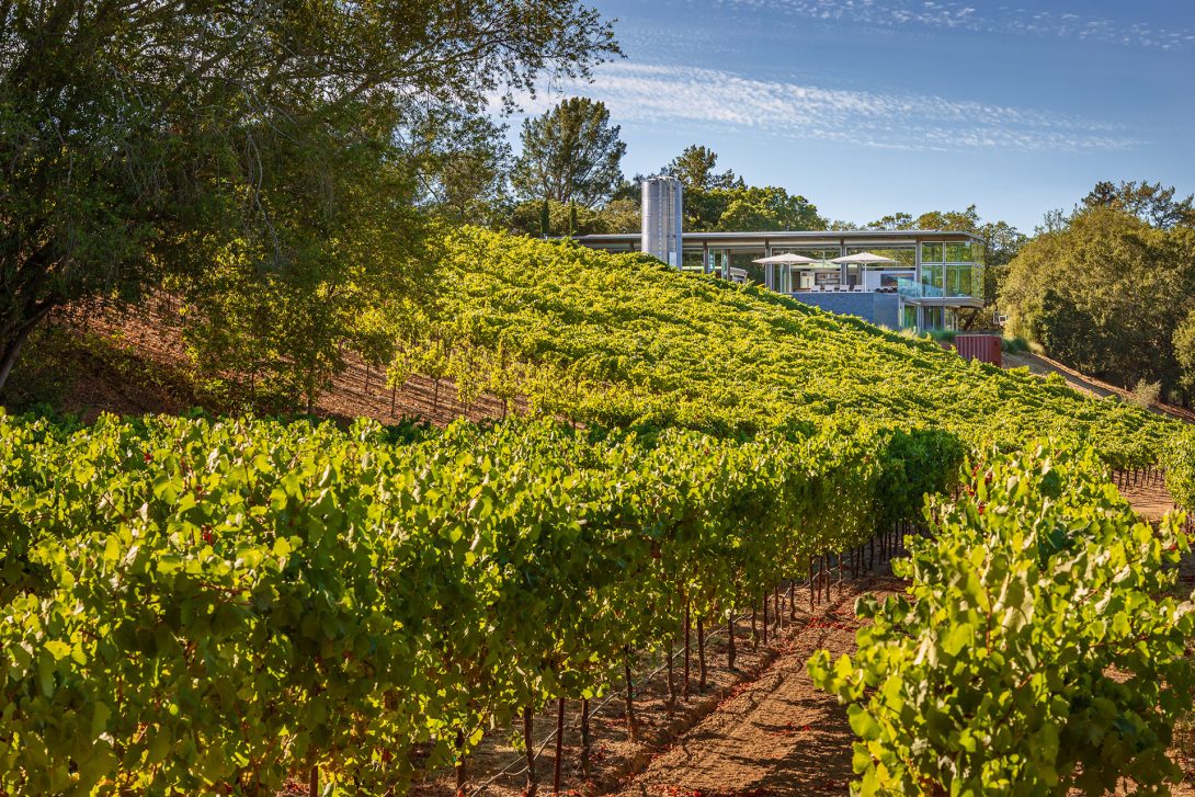 View of the house from the vineyard, Healdsburg House